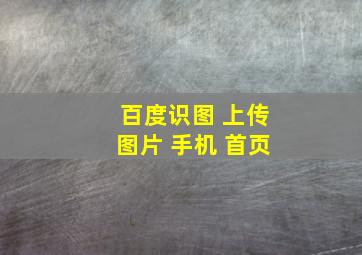 百度识图 上传图片 手机 首页